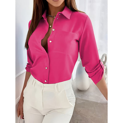 Dressy Long Sleeve Blouse