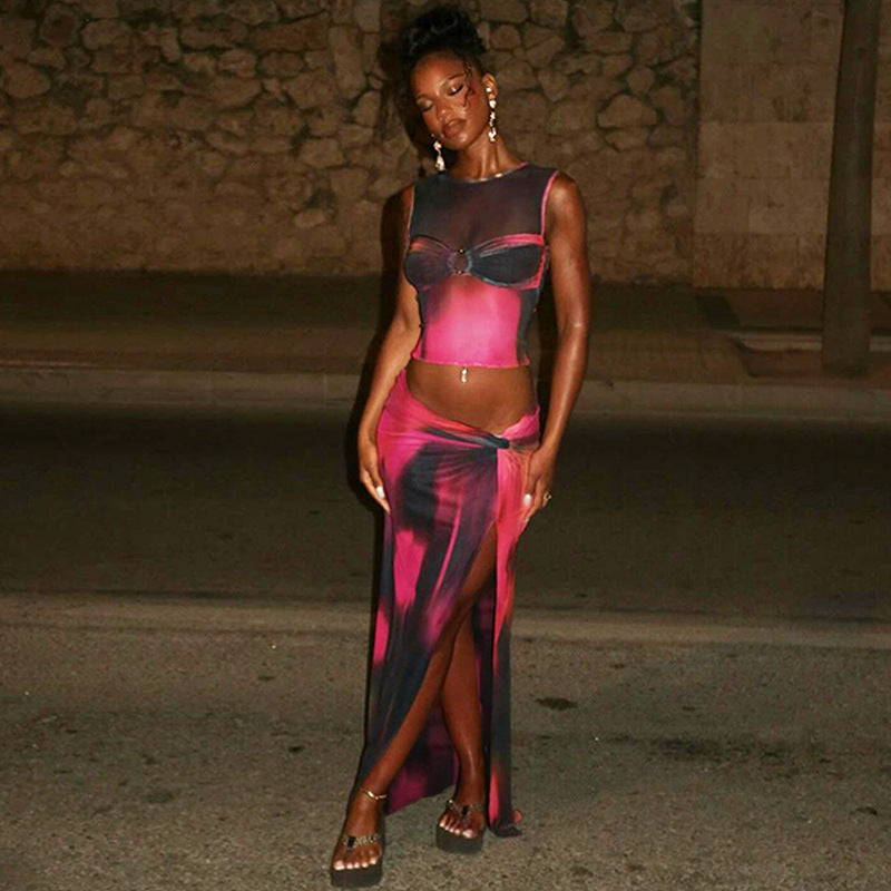 Printed Mesh Dress Set