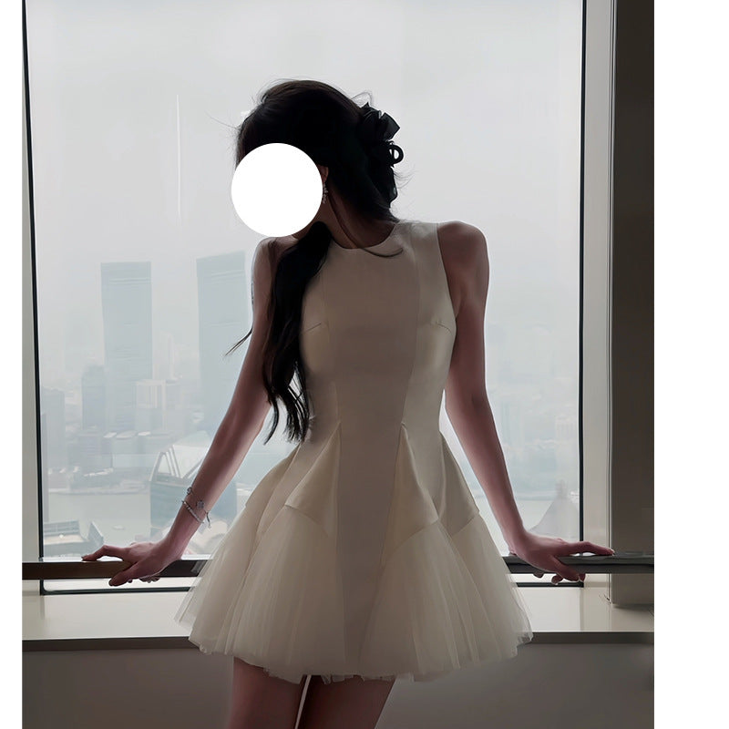Puff Mesh Stitching Pearlescent Dress - Shé Hauté