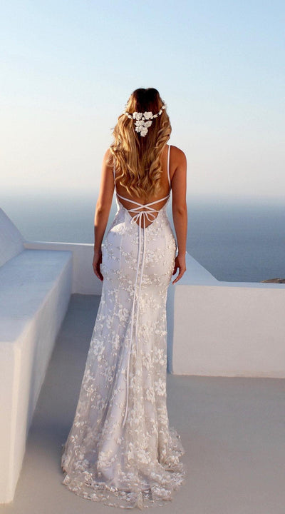 Elegant Beauty Dress